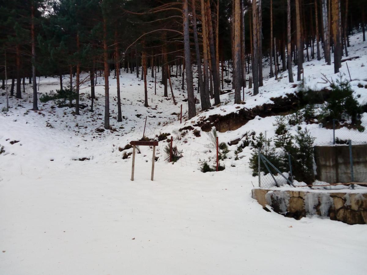 Holiday home Casa Gordon *